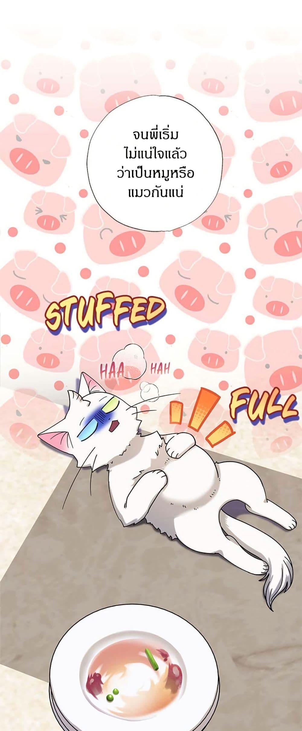 Manga-lc-com อ่านมังงะ อ่านการ์ตูน ออนไลน์ ฟรี I Became the Emperor’s Cat ตอนที่ 1 2 3 4 5 6 7 8 9 10 11 12 13 14 ฟรี ไม่มีโฆษณา Manga-lc - อ่าน มังงะ อ่าน การ์ตูน ออนไลน์ อ่านมังงะ ฟรี