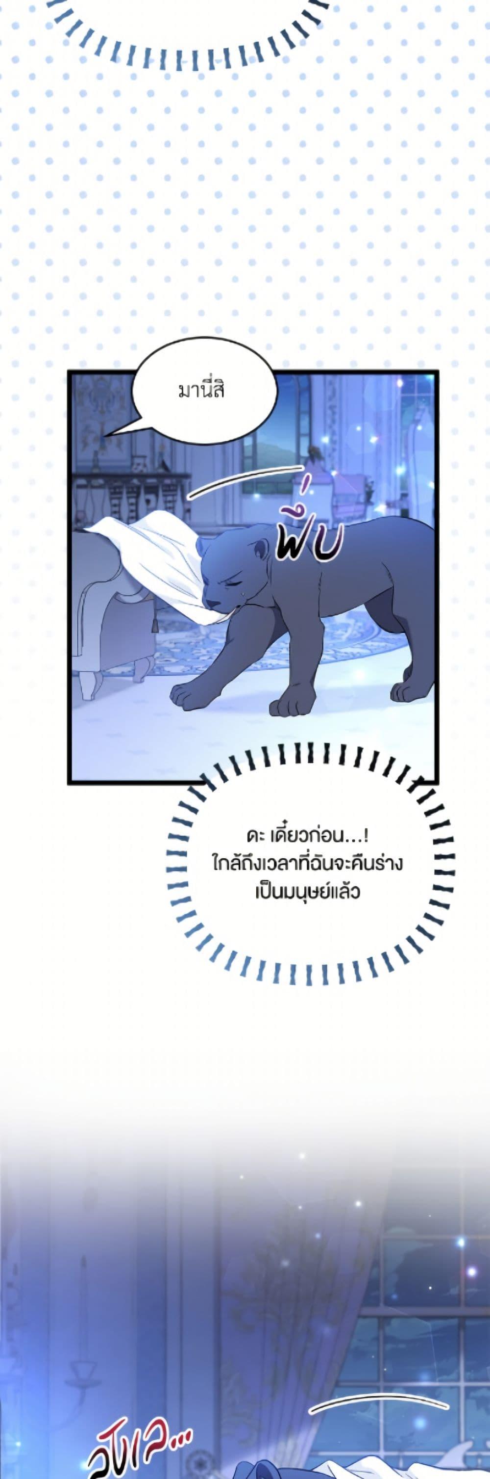 Manga-lc-com อ่านมังงะ อ่านการ์ตูน ออนไลน์ ฟรี The Symbiotic Relationship Between a Panther and a Rabbit ตอนที่ 1 2 3 4 5 6 7 8 9 10 11 12 13 14 ฟรี ไม่มีโฆษณา Manga-lc - อ่าน มังงะ อ่าน การ์ตูน ออนไลน์ อ่านมังงะ ฟรี