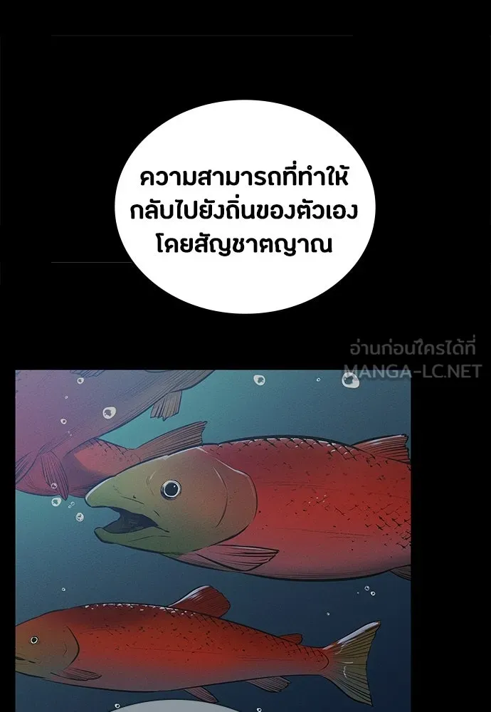 มือสังหารพันธุ์อมตะ ตอนที่ 89 รูปที่ 57