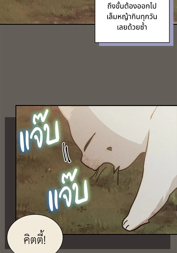 แมวน้อยในรังหมาป่า ตอนที่ 66 รูปที่ 40