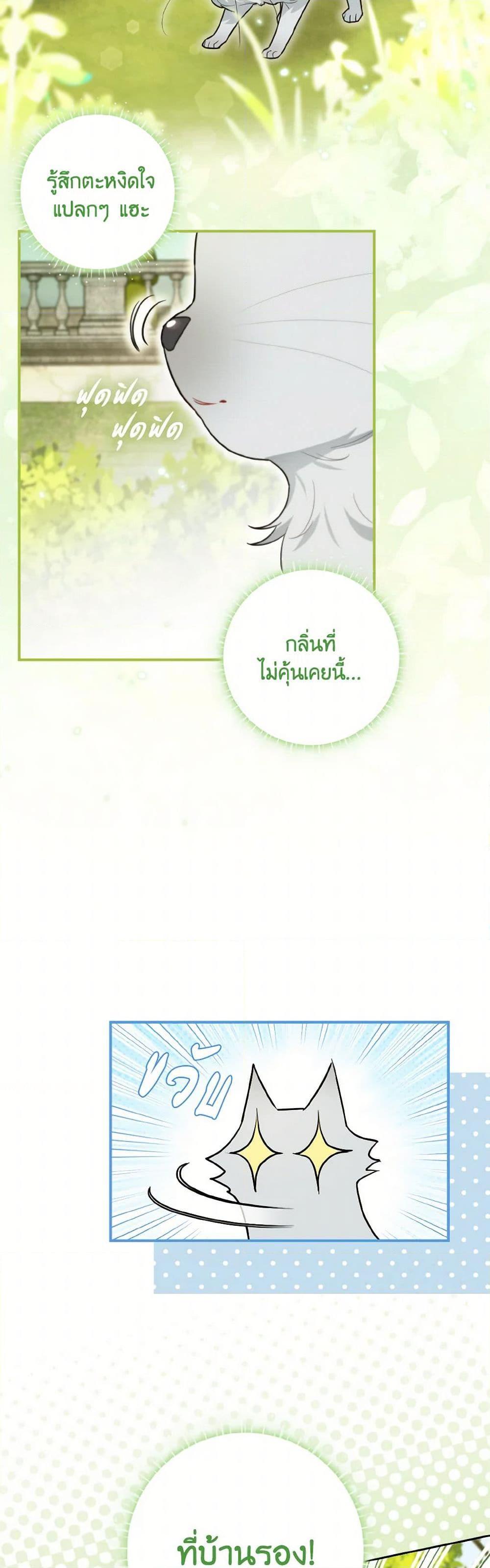 Manga-lc-com อ่านมังงะ อ่านการ์ตูน ออนไลน์ ฟรี I Possessed a Villainess, but I Wanna Raise Cats! ตอนที่ 1 2 3 4 5 6 7 8 9 10 11 12 13 14 ฟรี ไม่มีโฆษณา Manga-lc - อ่าน มังงะ อ่าน การ์ตูน ออนไลน์ อ่านมังงะ ฟรี