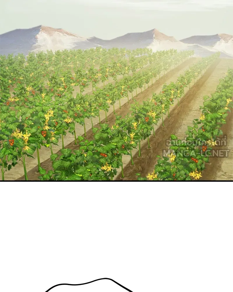 ปลูกผักพิชิตหอคอย ตอนที่ 99 รูปที่ 177