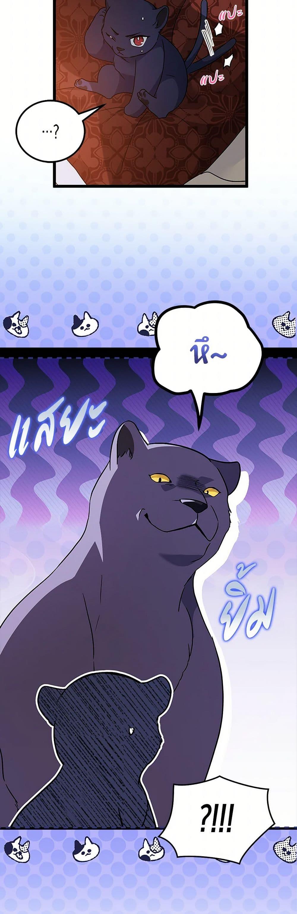 Manga-lc-com อ่านมังงะ อ่านการ์ตูน ออนไลน์ ฟรี The Symbiotic Relationship Between a Panther and a Rabbit ตอนที่ 1 2 3 4 5 6 7 8 9 10 11 12 13 14 ฟรี ไม่มีโฆษณา Manga-lc - อ่าน มังงะ อ่าน การ์ตูน ออนไลน์ อ่านมังงะ ฟรี