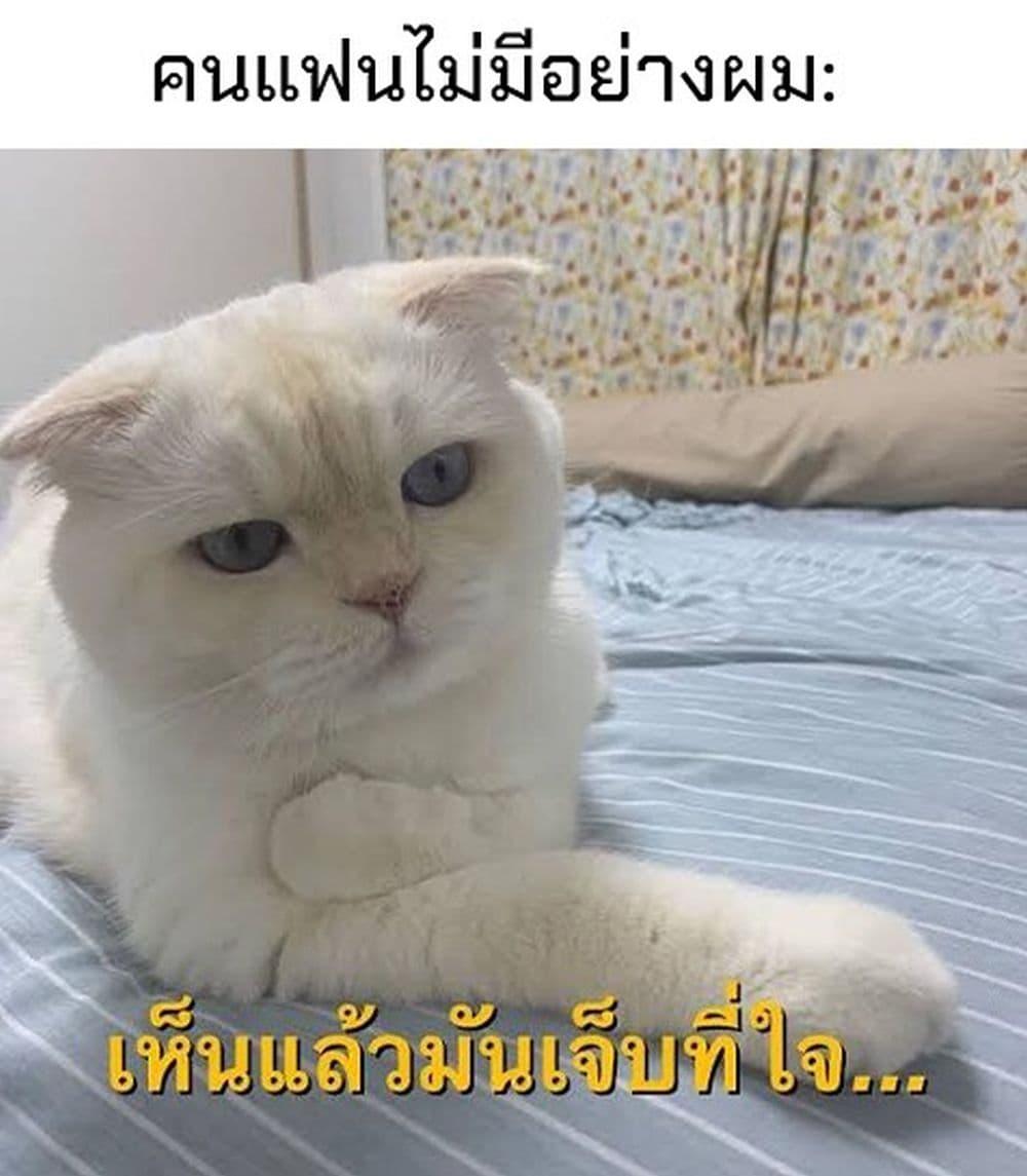 Manga-lc-com อ่านมังงะ อ่านการ์ตูน ออนไลน์ ฟรี Houkago Kitaku Biyori ตอนที่ 1 2 3 4 5 6 7 8 9 10 11 12 13 14 ฟรี ไม่มีโฆษณา Manga-lc - อ่าน มังงะ อ่าน การ์ตูน ออนไลน์ อ่านมังงะ ฟรี