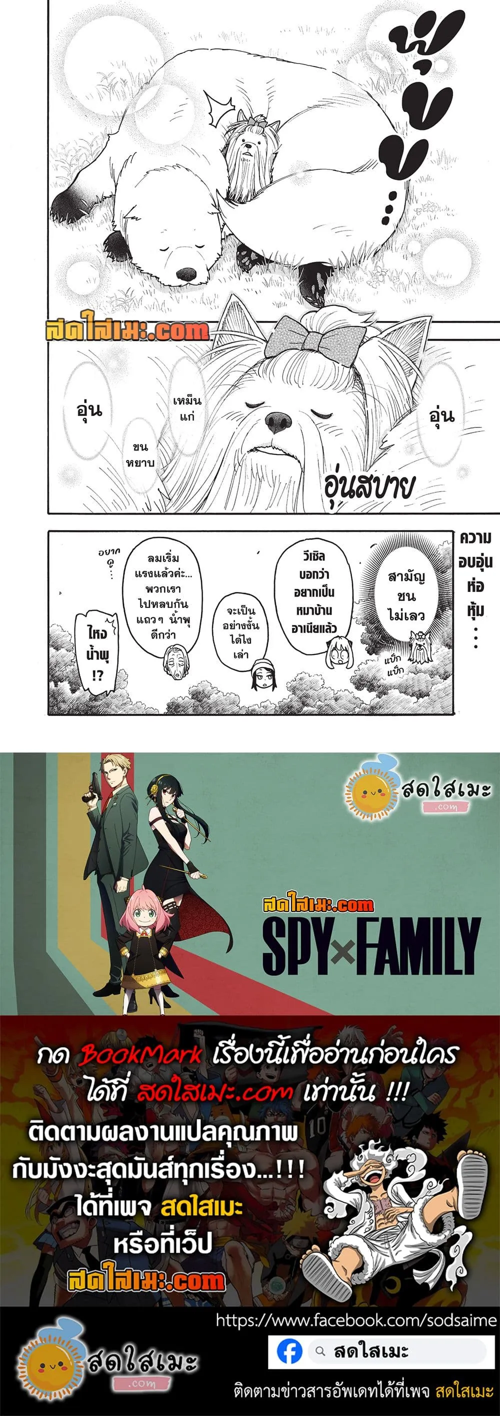 Manga-lc-com อ่านมังงะ อ่านการ์ตูน ออนไลน์ ฟรี Spy X Family ตอนที่ 1 2 3 4 5 6 7 8 9 10 11 12 13 14 ฟรี ไม่มีโฆษณา Manga-lc - อ่าน มังงะ อ่าน การ์ตูน ออนไลน์ อ่านมังงะ ฟรี