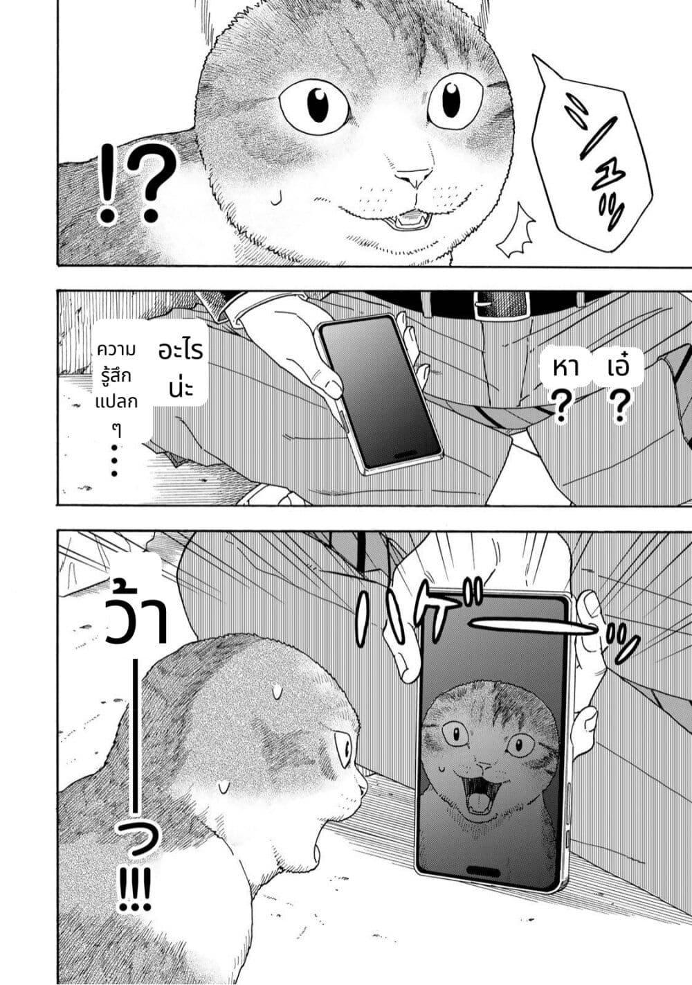 Manga-lc-com อ่านมังงะ อ่านการ์ตูน ออนไลน์ ฟรี Yuzuki Becomes A Cat ตอนที่ 1 2 3 4 5 6 7 8 9 10 11 12 13 14 ฟรี ไม่มีโฆษณา Manga-lc - อ่าน มังงะ อ่าน การ์ตูน ออนไลน์ อ่านมังงะ ฟรี