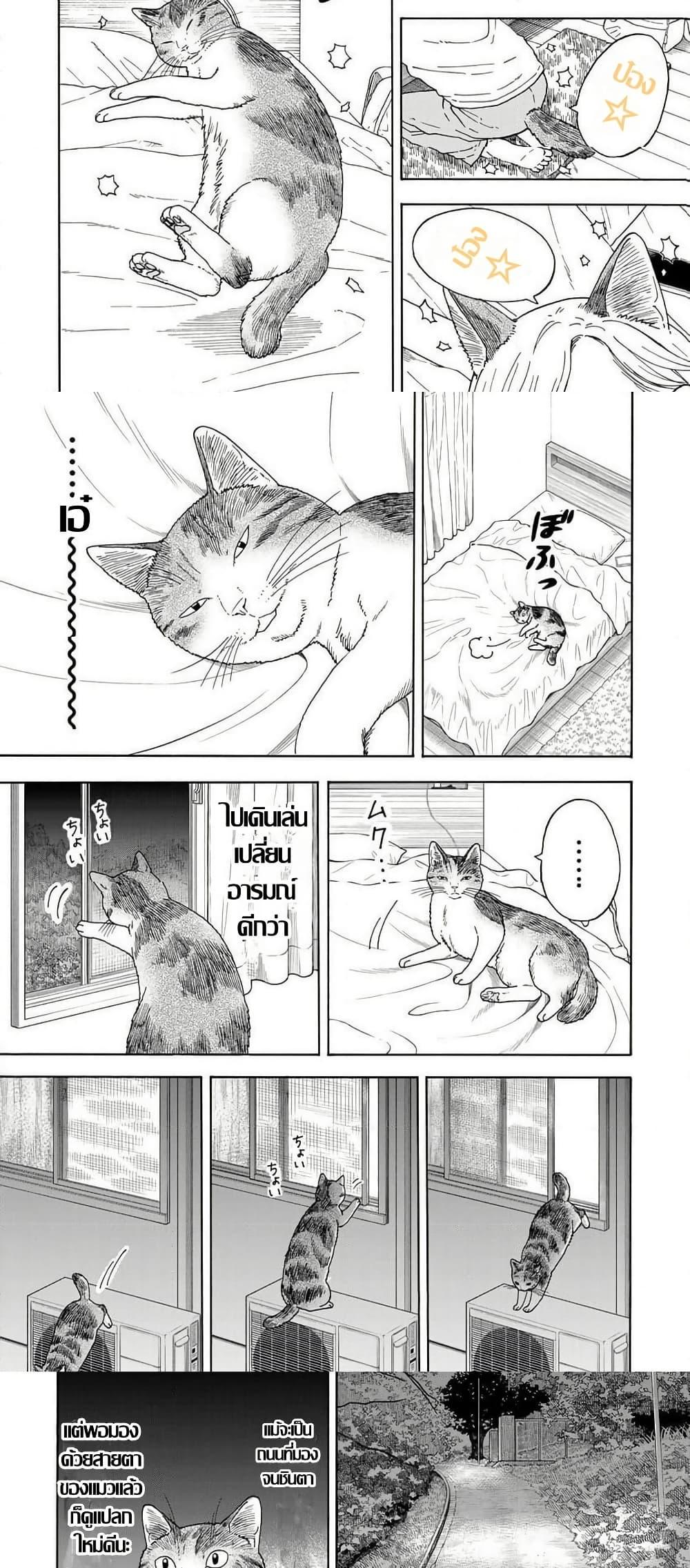 Manga-lc-com อ่านมังงะ อ่านการ์ตูน ออนไลน์ ฟรี Yuzuki Becomes A Cat ตอนที่ 1 2 3 4 5 6 7 8 9 10 11 12 13 14 ฟรี ไม่มีโฆษณา Manga-lc - อ่าน มังงะ อ่าน การ์ตูน ออนไลน์ อ่านมังงะ ฟรี