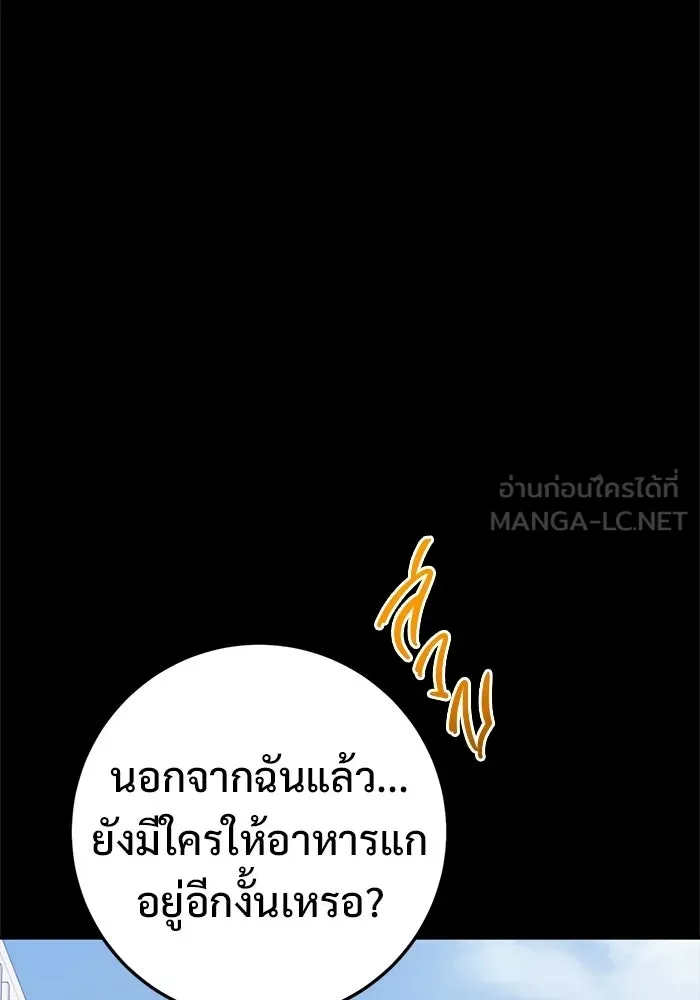 ราชินีนักบู๊ ตอนที่ 94 รูปที่ 213