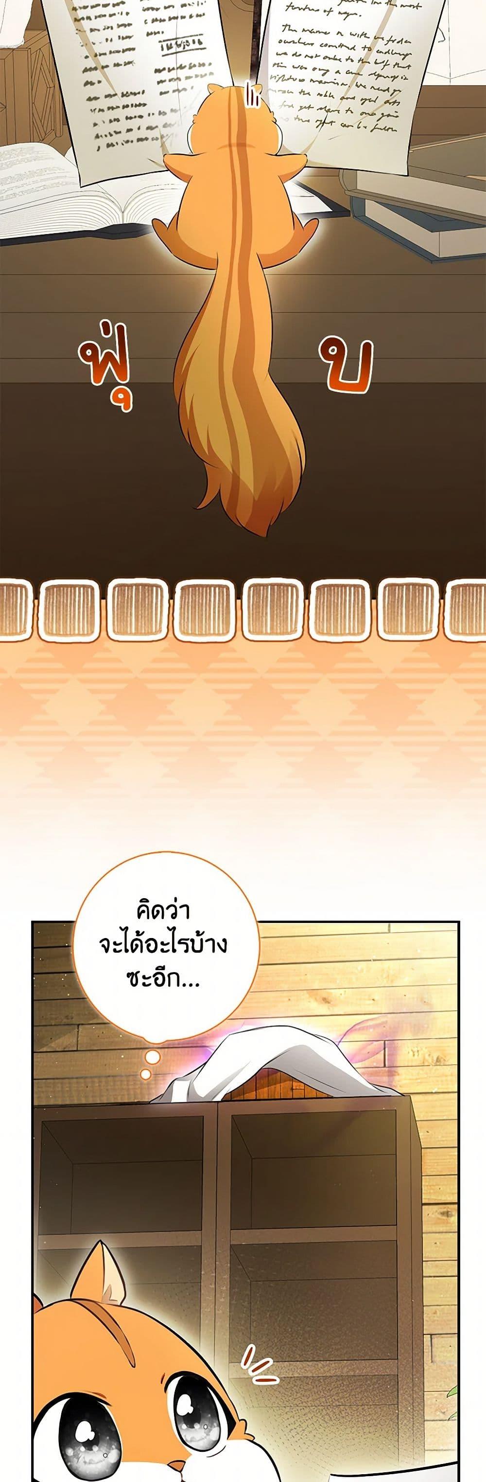 Manga-lc-com อ่านมังงะ อ่านการ์ตูน ออนไลน์ ฟรี Baby Squirrel Is Good at Everything ตอนที่ 1 2 3 4 5 6 7 8 9 10 11 12 13 14 ฟรี ไม่มีโฆษณา Manga-lc - อ่าน มังงะ อ่าน การ์ตูน ออนไลน์ อ่านมังงะ ฟรี