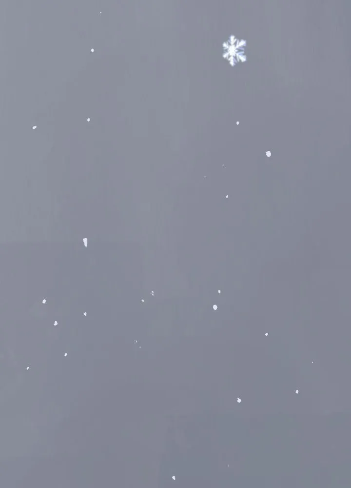 มัมหมีจ๋าหนูมาแบ๊ว ตอนที่ 10 รูปที่ 74