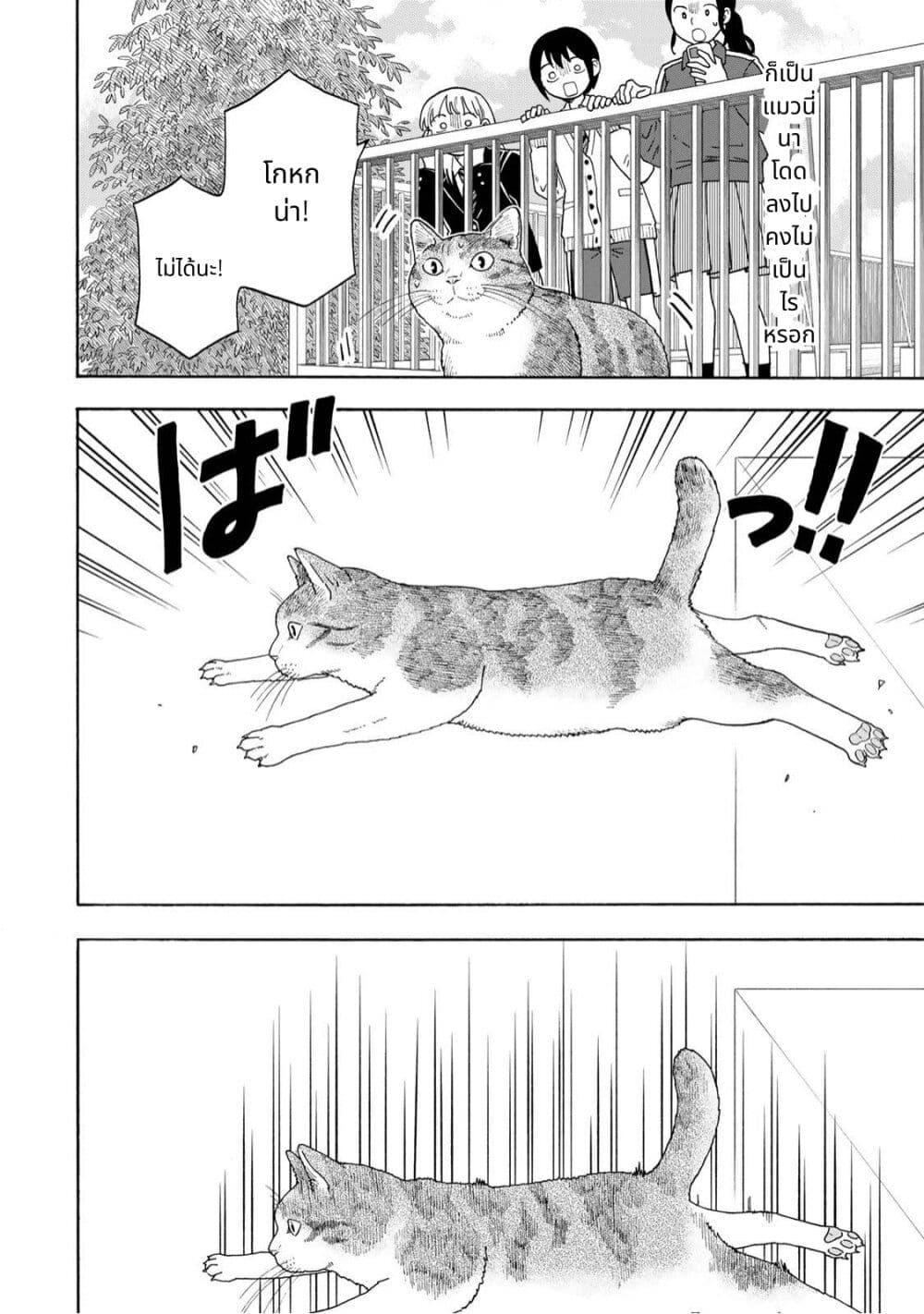 Manga-lc-com อ่านมังงะ อ่านการ์ตูน ออนไลน์ ฟรี Yuzuki Becomes A Cat ตอนที่ 1 2 3 4 5 6 7 8 9 10 11 12 13 14 ฟรี ไม่มีโฆษณา Manga-lc - อ่าน มังงะ อ่าน การ์ตูน ออนไลน์ อ่านมังงะ ฟรี