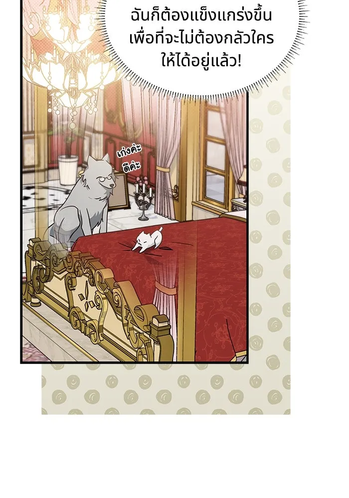 แมวน้อยในรังหมาป่า ตอนที่ 19 รูปที่ 67