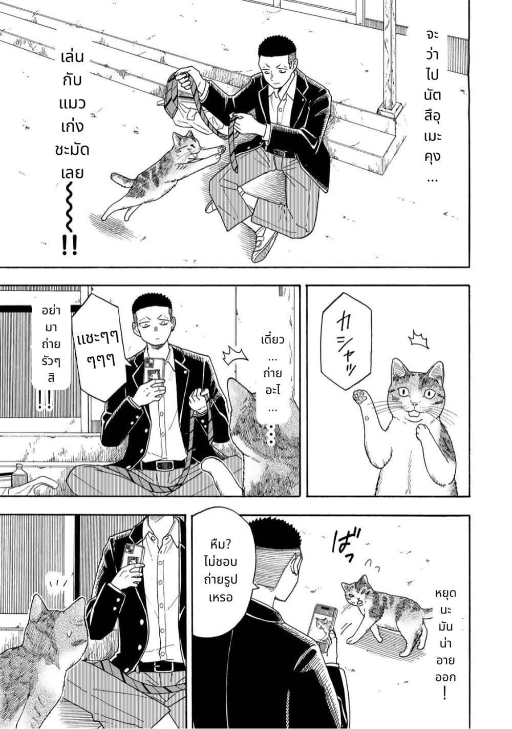 Manga-lc-com อ่านมังงะ อ่านการ์ตูน ออนไลน์ ฟรี Yuzuki Becomes A Cat ตอนที่ 1 2 3 4 5 6 7 8 9 10 11 12 13 14 ฟรี ไม่มีโฆษณา Manga-lc - อ่าน มังงะ อ่าน การ์ตูน ออนไลน์ อ่านมังงะ ฟรี