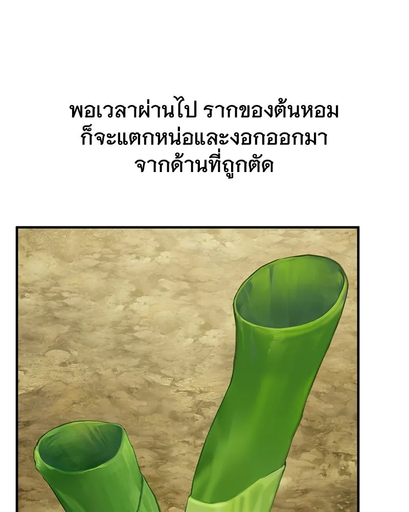 ปลูกผักพิชิตหอคอย ตอนที่ 41 รูปที่ 95