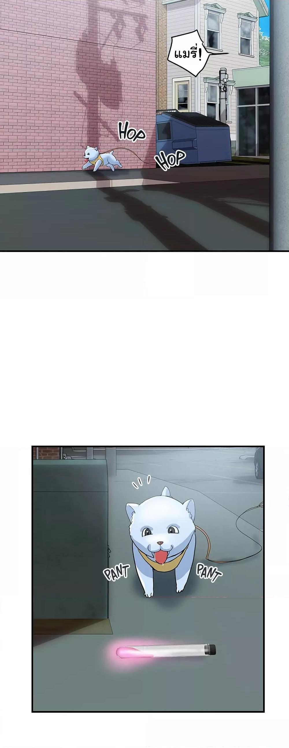 Doujin-Lc- อ่าน โดจิน มังฮวา เกาหลี ญี่ปุ่น จีน แปลไทย Pheromones ตอนที่ 1 2 3 4 5 6 7 8 9 10 11 12 13 14 ฟรี ไม่มีโฆษณา อ่าน โดจิน Manhwa เกาหลี ญี่ปุ่น จีน เรามีครบ คัดมาให้เน้นๆ โดจิน 18+ รับประกันความฟินโดย  Doujin Lc