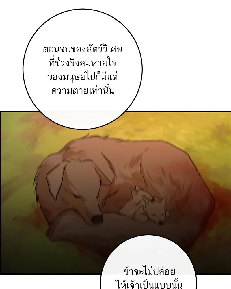 ตำนานเทพธิดาตกสวรรค์ ตอนที่ 32 รูปที่ 70