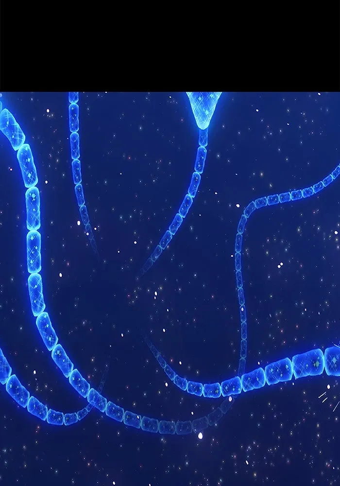 +99 ท่อนไม้พร้อมบวก ตอนที่ 73 รูปที่ 242