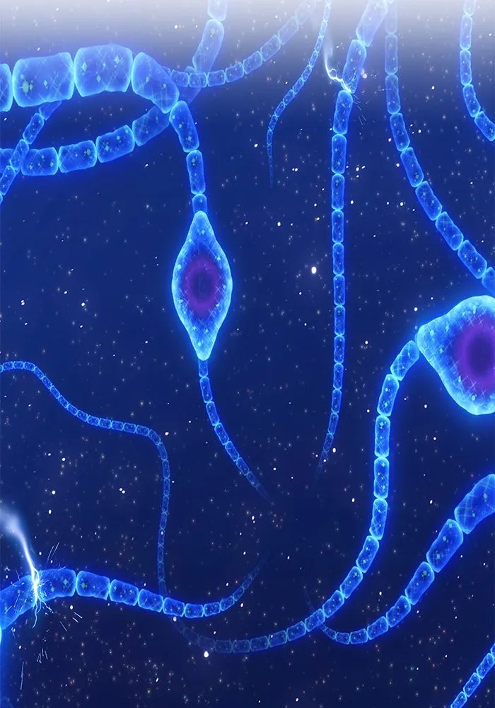 +99 ท่อนไม้พร้อมบวก ตอนที่ 66 รูปที่ 181