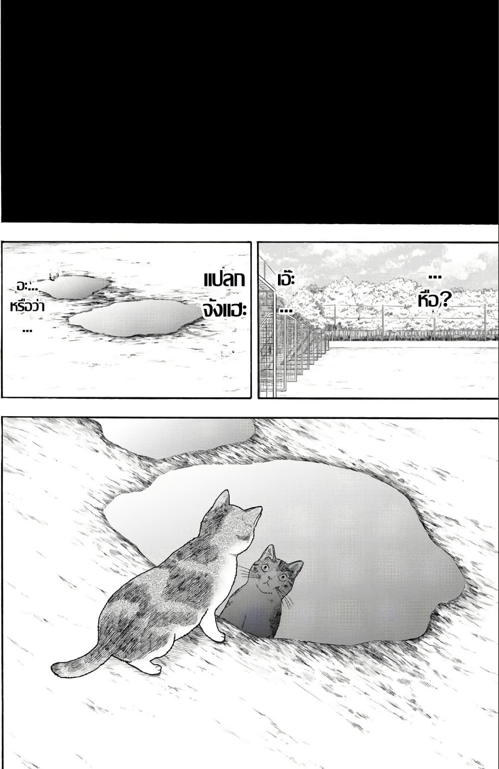 Manga-lc-com อ่านมังงะ อ่านการ์ตูน ออนไลน์ ฟรี Yuzuki Becomes A Cat ตอนที่ 1 2 3 4 5 6 7 8 9 10 11 12 13 14 ฟรี ไม่มีโฆษณา Manga-lc - อ่าน มังงะ อ่าน การ์ตูน ออนไลน์ อ่านมังงะ ฟรี