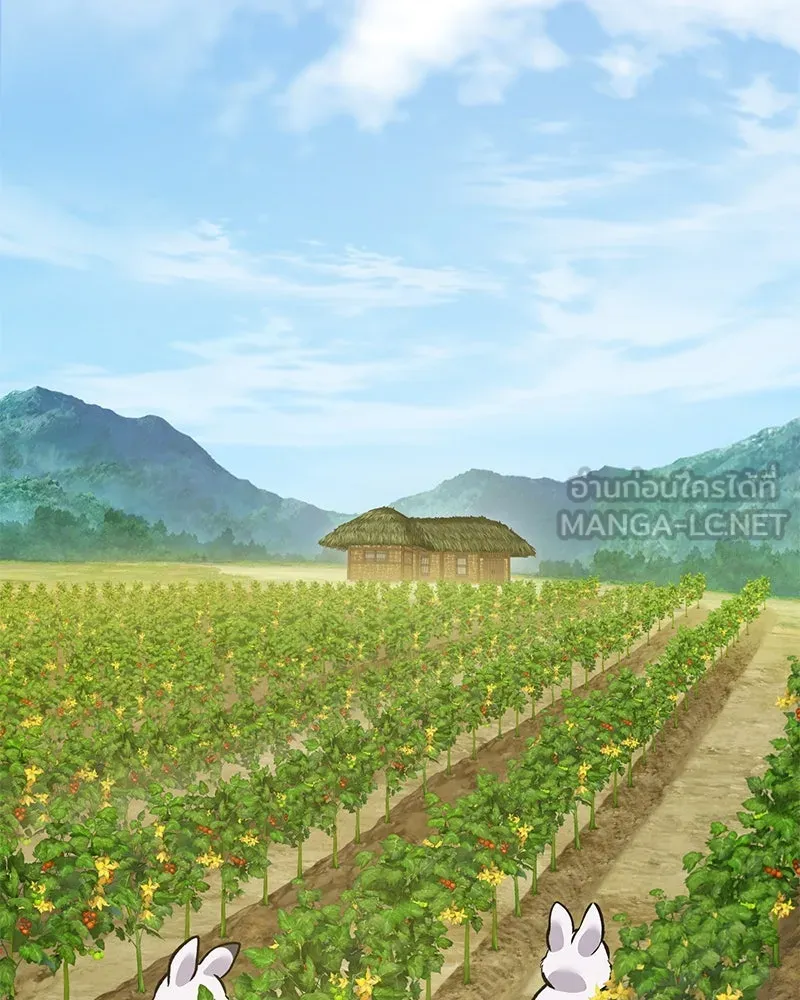 ปลูกผักพิชิตหอคอย ตอนที่ 86 รูปที่ 204