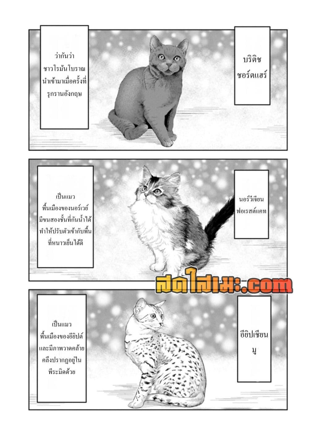 Manga-lc-com อ่านมังงะ อ่านการ์ตูน ออนไลน์ ฟรี Sengoku Komachi Kuroutan Noukou Giga ตอนที่ 1 2 3 4 5 6 7 8 9 10 11 12 13 14 ฟรี ไม่มีโฆษณา Manga-lc - อ่าน มังงะ อ่าน การ์ตูน ออนไลน์ อ่านมังงะ ฟรี