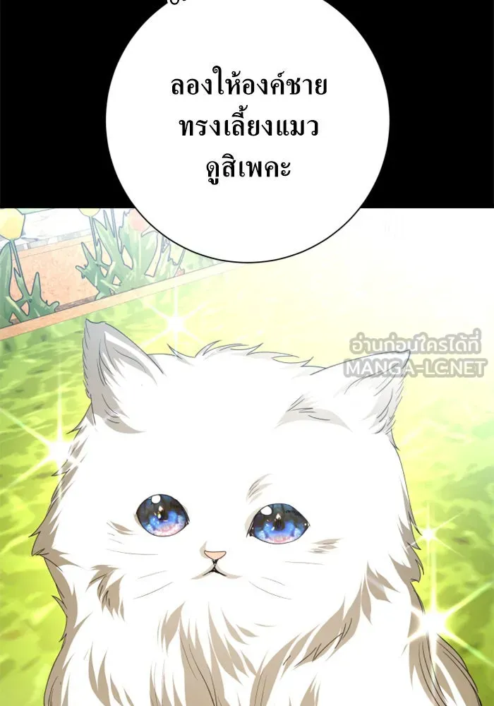 ชิงชีวิตพลิกลิขิตชะตา ตอนที่ 153. บุรุษที่ชื่อเอียลอส ออร์นา เ รูปที่ 33