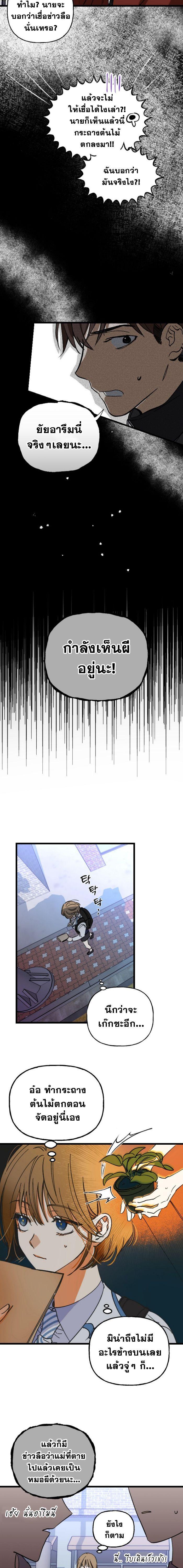 Manga-lc-com อ่านมังงะ อ่านการ์ตูน ออนไลน์ ฟรี Night of Shadows ตอนที่ 1 2 3 4 5 6 7 8 9 10 11 12 13 14 ฟรี ไม่มีโฆษณา Manga-lc - อ่าน มังงะ อ่าน การ์ตูน ออนไลน์ อ่านมังงะ ฟรี