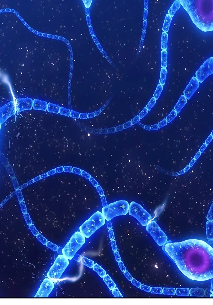 +99 ท่อนไม้พร้อมบวก ตอนที่ 64 รูปที่ 221