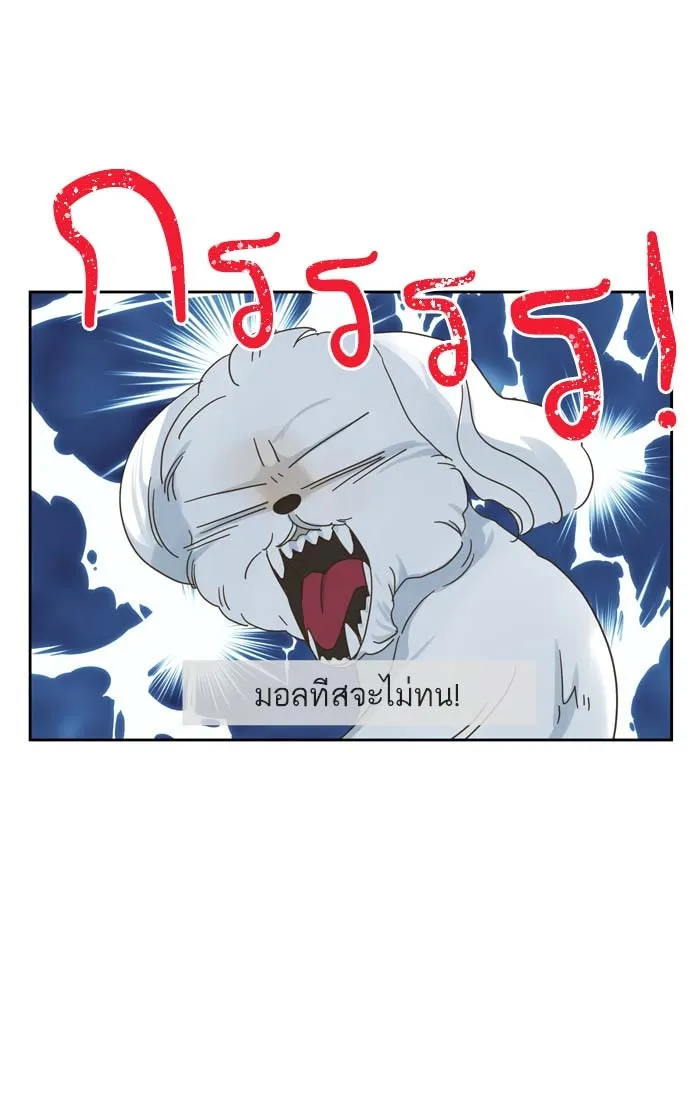 ฉันมันร้าย หรือเพราะโลกไม่น่ารัก ตอนที่ 86 รูปที่ 46