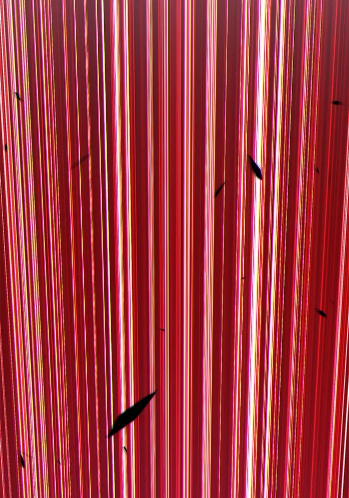 +99 ท่อนไม้พร้อมบวก ตอนที่ 11 รูปที่ 10