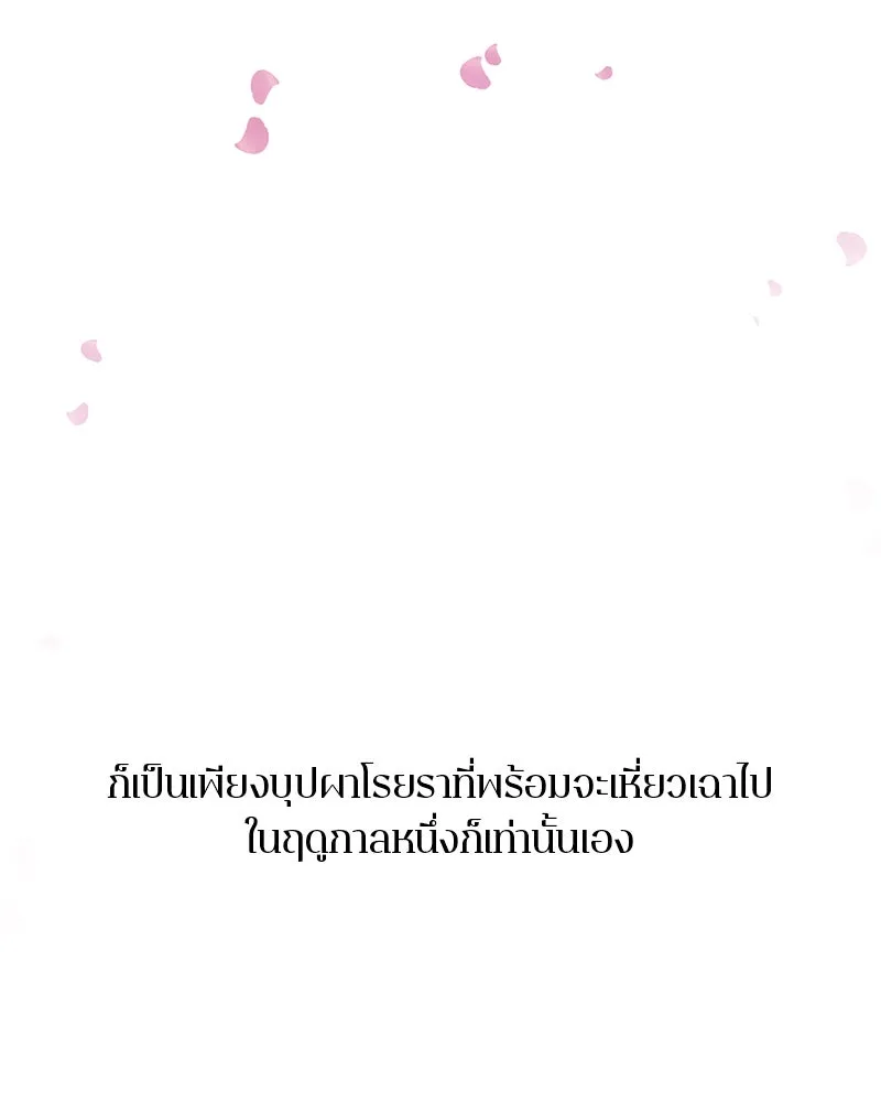 ตำนานเทพธิดาตกสวรรค์ ตอนที่ 135 รูปที่ 137