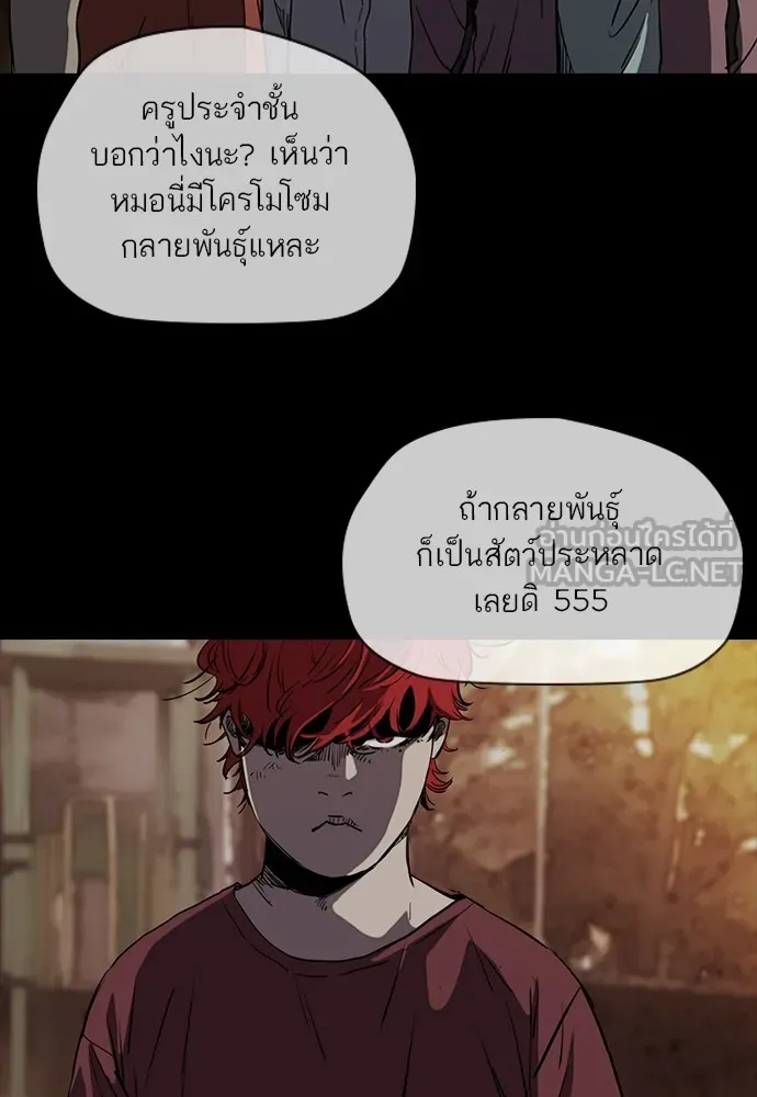 ปั่นสู้ฝันbrWind Breaker ตอนที่ 54 รูปที่ 21