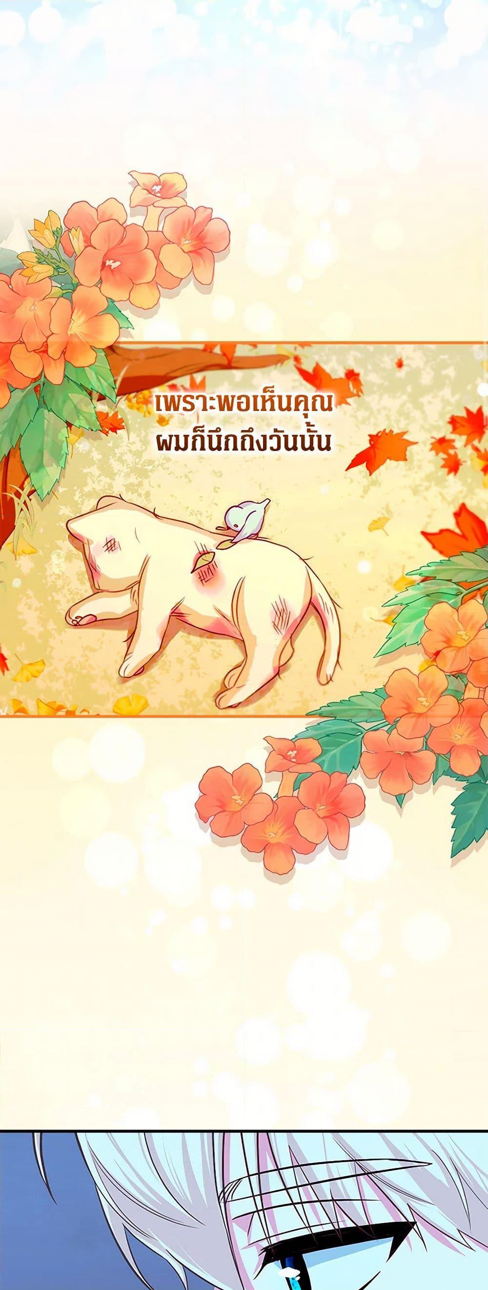 Manga-lc-com อ่านมังงะ อ่านการ์ตูน ออนไลน์ ฟรี Lady Blue Bird of the White Lion Family ตอนที่ 1 2 3 4 5 6 7 8 9 10 11 12 13 14 ฟรี ไม่มีโฆษณา Manga-lc - อ่าน มังงะ อ่าน การ์ตูน ออนไลน์ อ่านมังงะ ฟรี