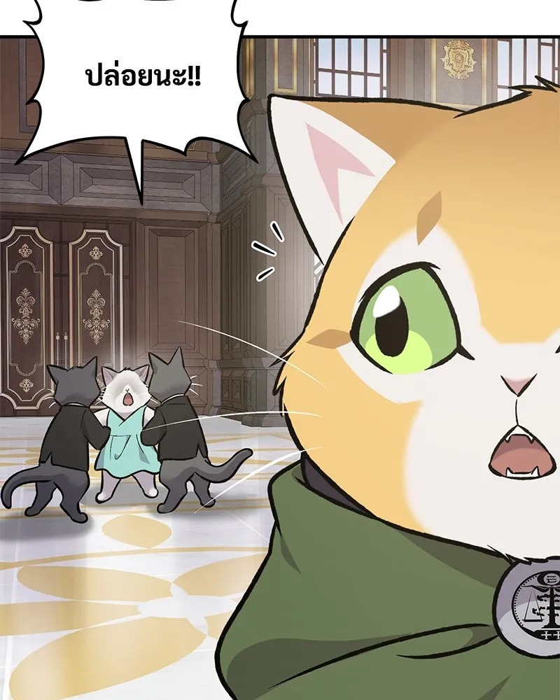 ปลูกผักพิชิตหอคอย ตอนที่ 88 รูปที่ 178