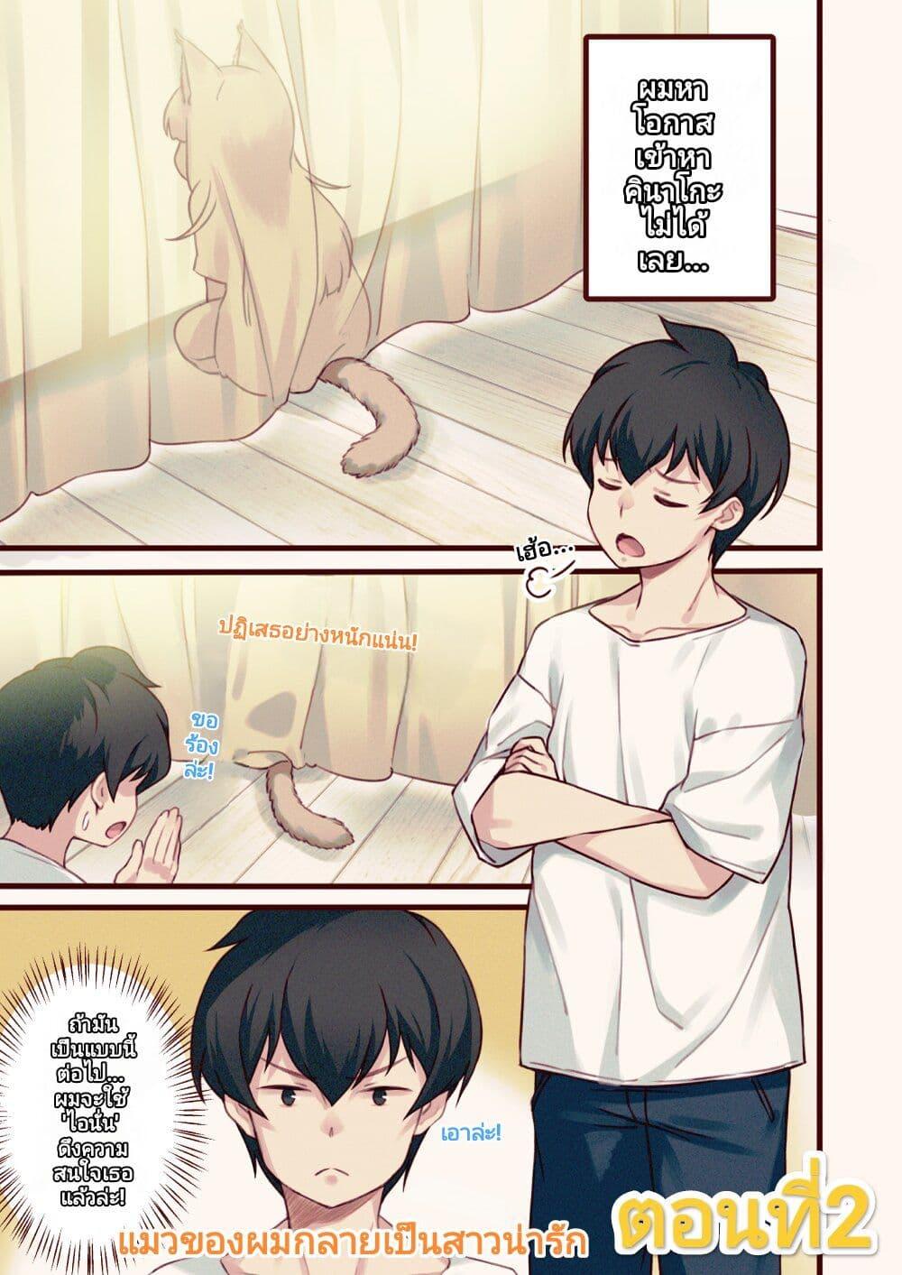 Manga-lc-com อ่านมังงะ อ่านการ์ตูน ออนไลน์ ฟรี My Cat Is a Kawaii Girl ตอนที่ 1 2 3 4 5 6 7 8 9 10 11 12 13 14 ฟรี ไม่มีโฆษณา Manga-lc - อ่าน มังงะ อ่าน การ์ตูน ออนไลน์ อ่านมังงะ ฟรี