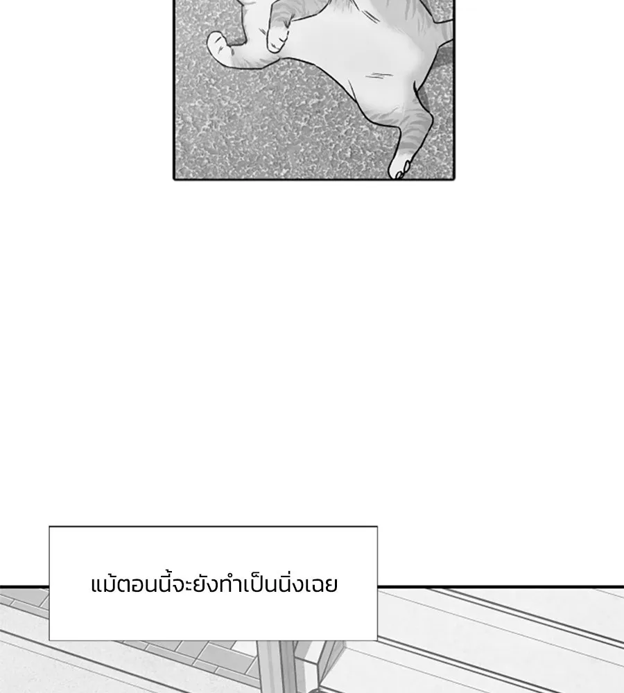 เหตุผลของคนไม่อยากอยู่ ตอนที่ 98 รูปที่ 137