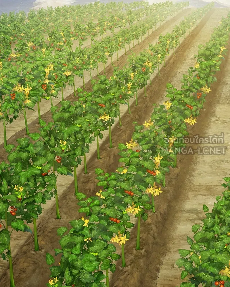 ปลูกผักพิชิตหอคอย ตอนที่ 71 รูปที่ 174