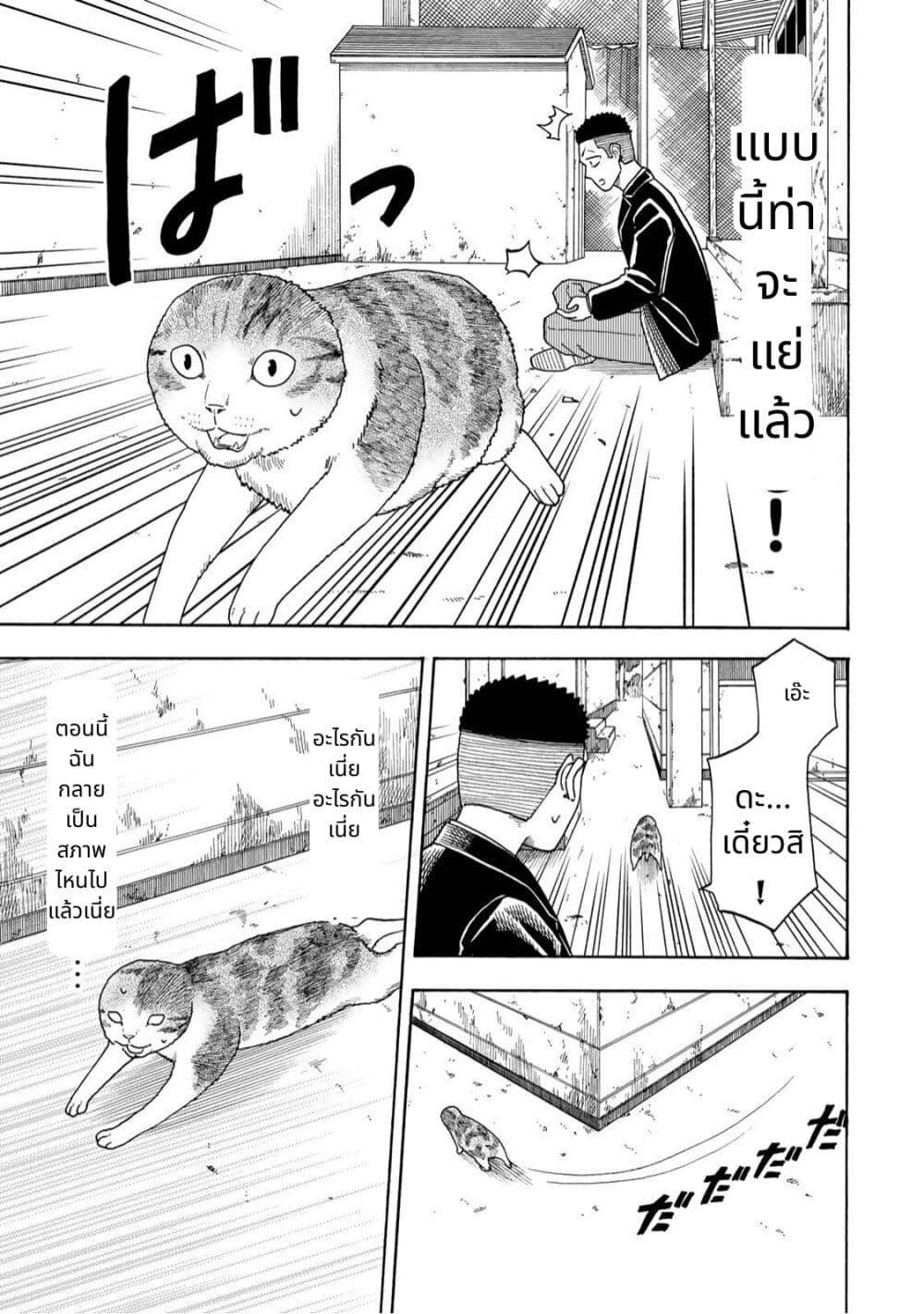 Manga-lc-com อ่านมังงะ อ่านการ์ตูน ออนไลน์ ฟรี Yuzuki Becomes A Cat ตอนที่ 1 2 3 4 5 6 7 8 9 10 11 12 13 14 ฟรี ไม่มีโฆษณา Manga-lc - อ่าน มังงะ อ่าน การ์ตูน ออนไลน์ อ่านมังงะ ฟรี