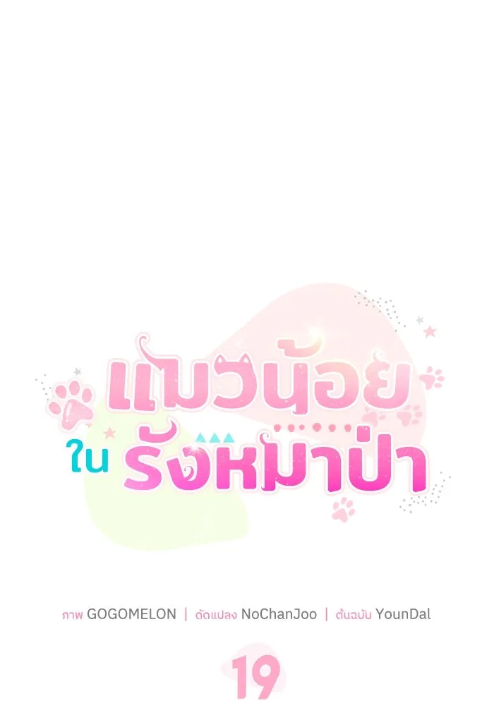 แมวน้อยในรังหมาป่า ตอนที่ 19 รูปที่ 43