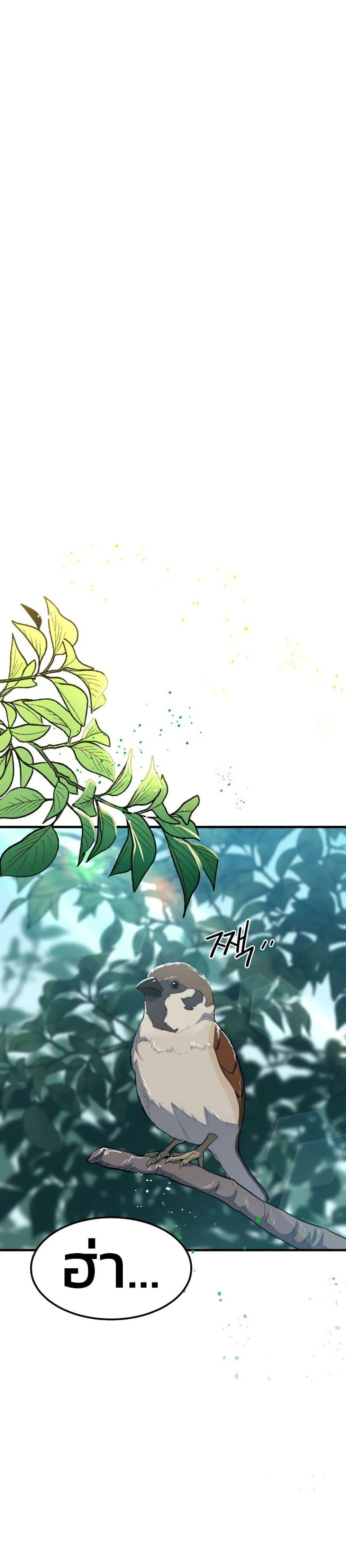 Manga-lc-com อ่านมังงะ อ่านการ์ตูน ออนไลน์ ฟรี Academy Reincarnation Hero ตอนที่ 1 2 3 4 5 6 7 8 9 10 11 12 13 14 ฟรี ไม่มีโฆษณา Manga-lc - อ่าน มังงะ อ่าน การ์ตูน ออนไลน์ อ่านมังงะ ฟรี