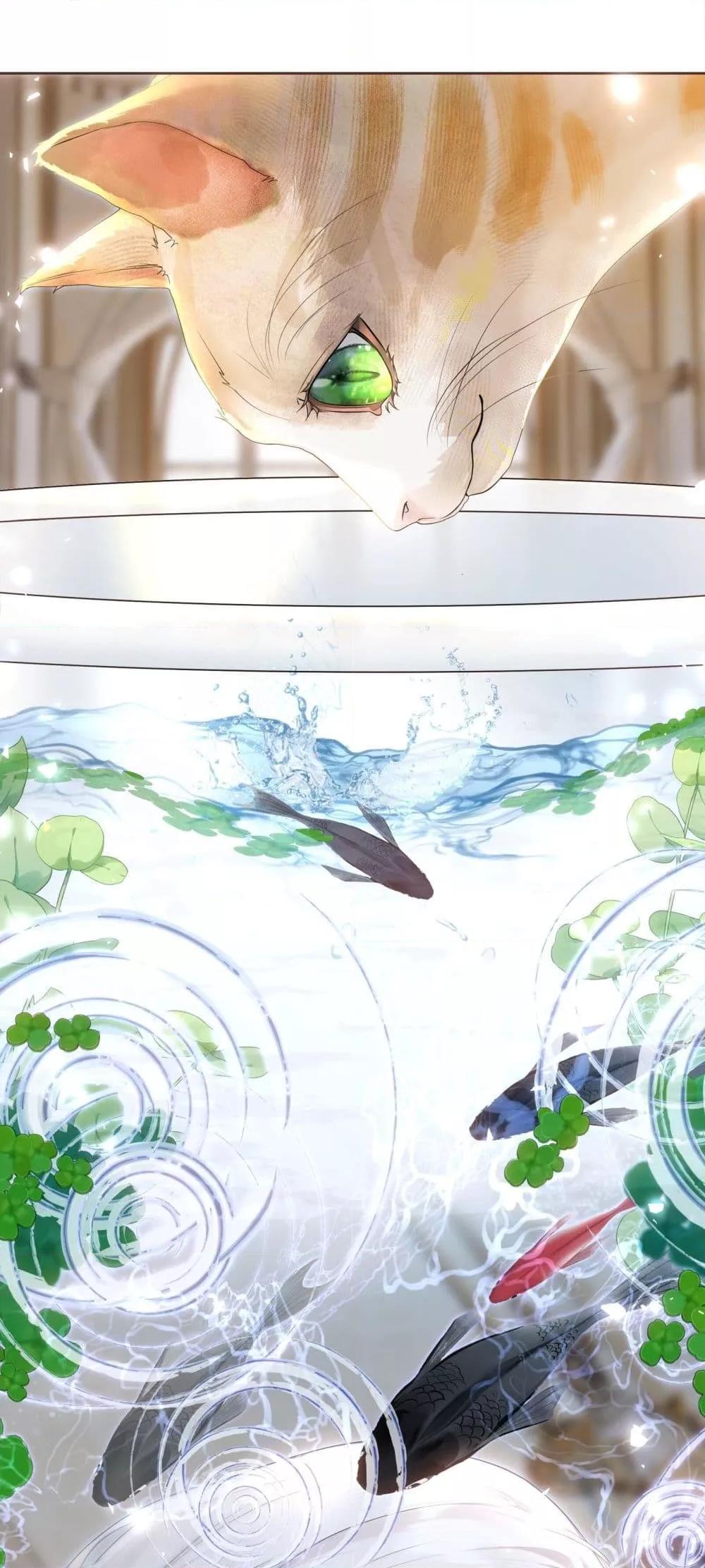 Manga-lc-com อ่านมังงะ อ่านการ์ตูน ออนไลน์ ฟรี TheBrideWhoR ตอนที่ 1 2 3 4 5 6 7 8 9 10 11 12 13 14 ฟรี ไม่มีโฆษณา Manga-lc - อ่าน มังงะ อ่าน การ์ตูน ออนไลน์ อ่านมังงะ ฟรี