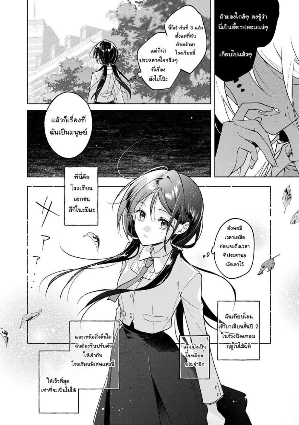 Manga-lc-com อ่านมังงะ อ่านการ์ตูน ออนไลน์ ฟรี Shirotae-sama, Himitsu desu yo ตอนที่ 1 2 3 4 5 6 7 8 9 10 11 12 13 14 ฟรี ไม่มีโฆษณา Manga-lc - อ่าน มังงะ อ่าน การ์ตูน ออนไลน์ อ่านมังงะ ฟรี