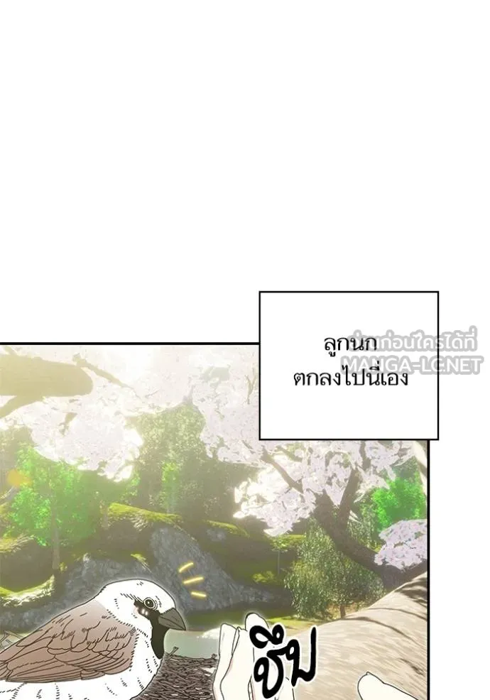 บุตรสาวของดยุกปีศาจ ตอนที่ 181 รูปที่ 57