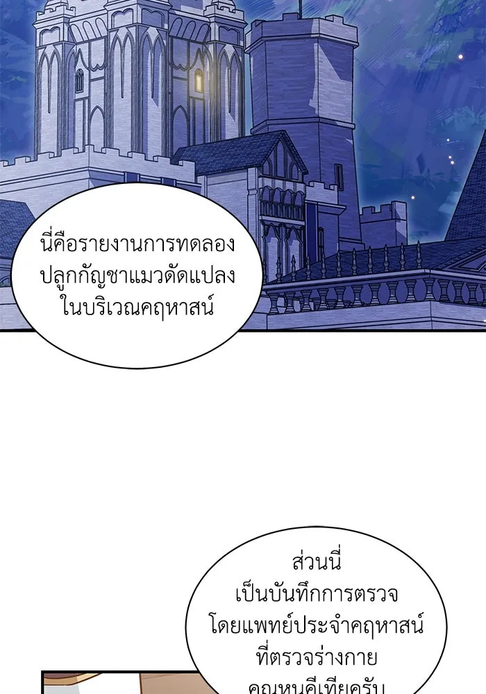 แมวน้อยในรังหมาป่า ตอนที่ 25 รูปที่ 7