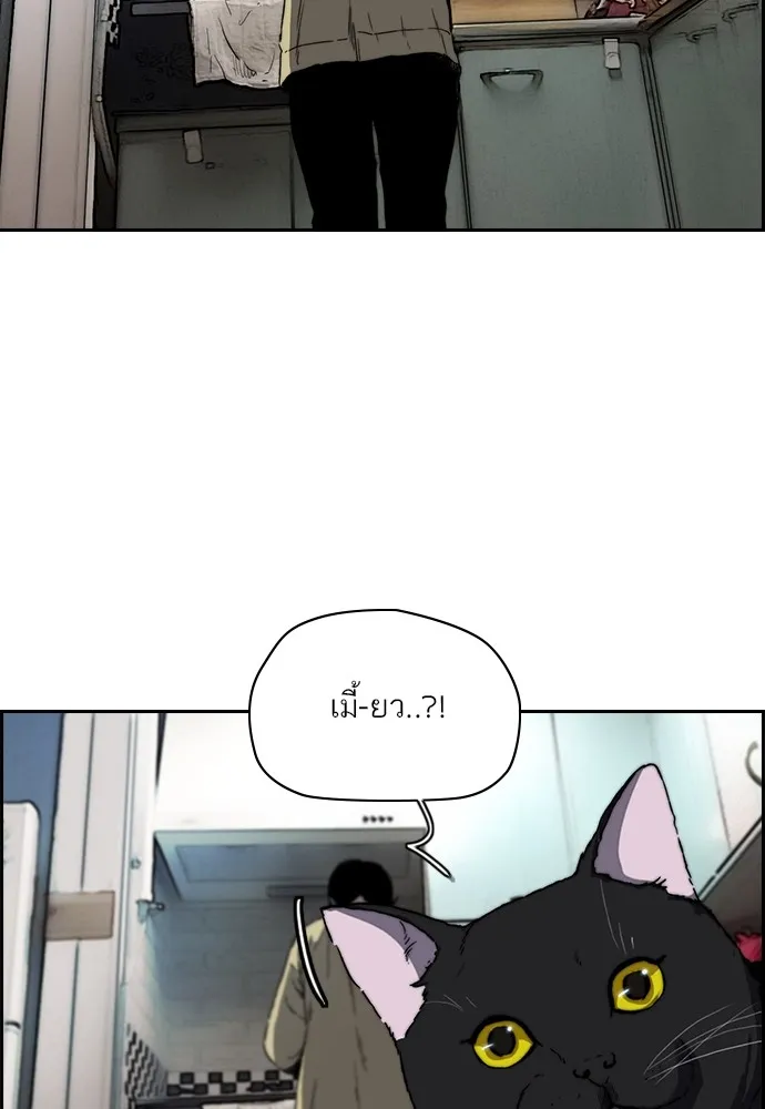 ปั่นสู้ฝันbrWind Breaker ตอนที่ 86 รูปที่ 32