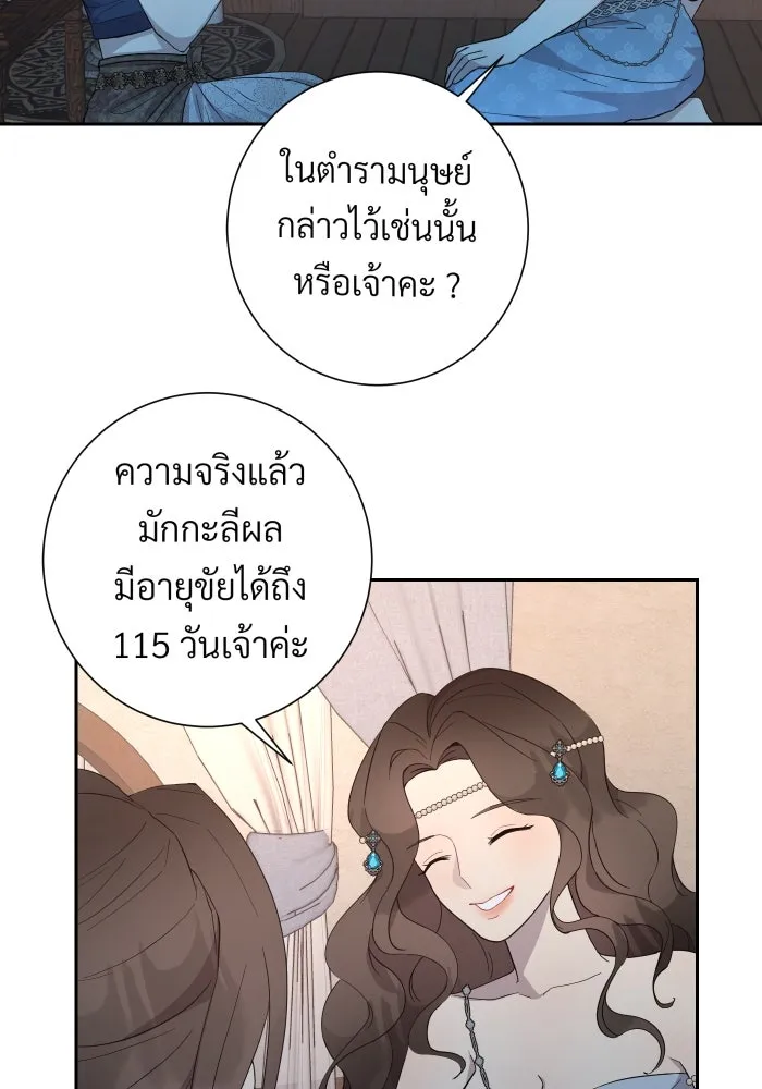 จันทร์เจ้า ตอนที่ ตอนที่ ๔  มักกะลีผลนางหนึ่ง รูปที่ 25