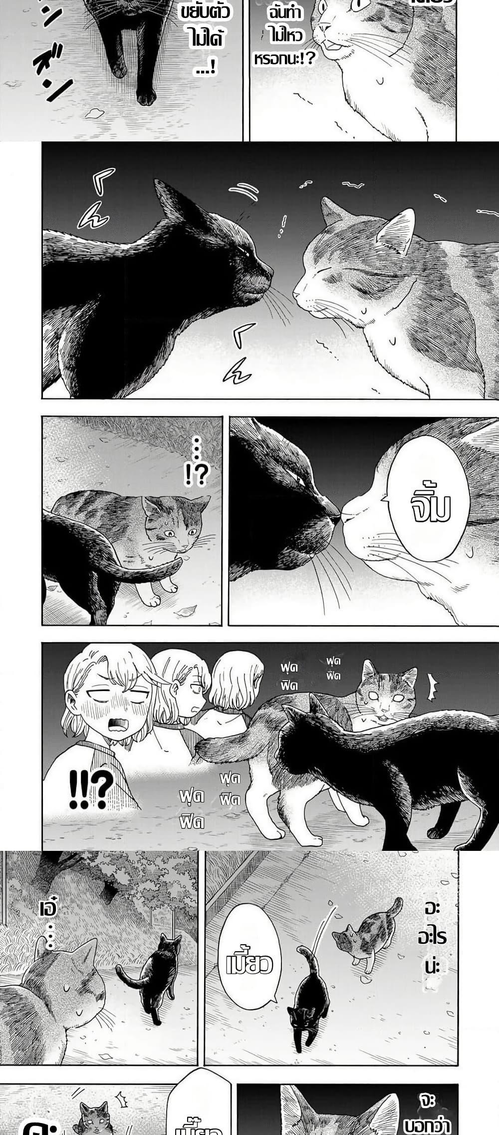 Manga-lc-com อ่านมังงะ อ่านการ์ตูน ออนไลน์ ฟรี Yuzuki Becomes A Cat ตอนที่ 1 2 3 4 5 6 7 8 9 10 11 12 13 14 ฟรี ไม่มีโฆษณา Manga-lc - อ่าน มังงะ อ่าน การ์ตูน ออนไลน์ อ่านมังงะ ฟรี