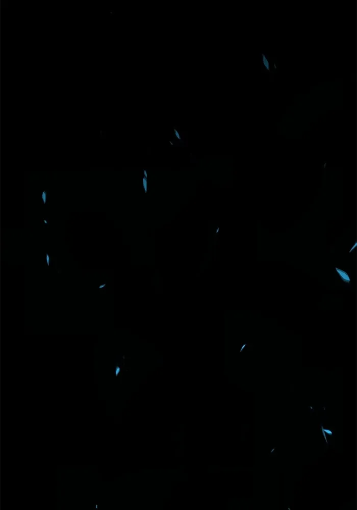 +99 ท่อนไม้พร้อมบวก ตอนที่ 58 ดิเมนชันอีตเตอร์ (6) รูปที่ 454