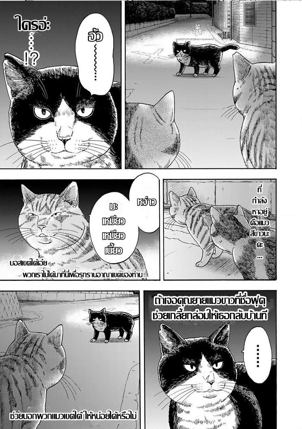 Manga-lc-com อ่านมังงะ อ่านการ์ตูน ออนไลน์ ฟรี Yuzuki Becomes A Cat ตอนที่ 1 2 3 4 5 6 7 8 9 10 11 12 13 14 ฟรี ไม่มีโฆษณา Manga-lc - อ่าน มังงะ อ่าน การ์ตูน ออนไลน์ อ่านมังงะ ฟรี
