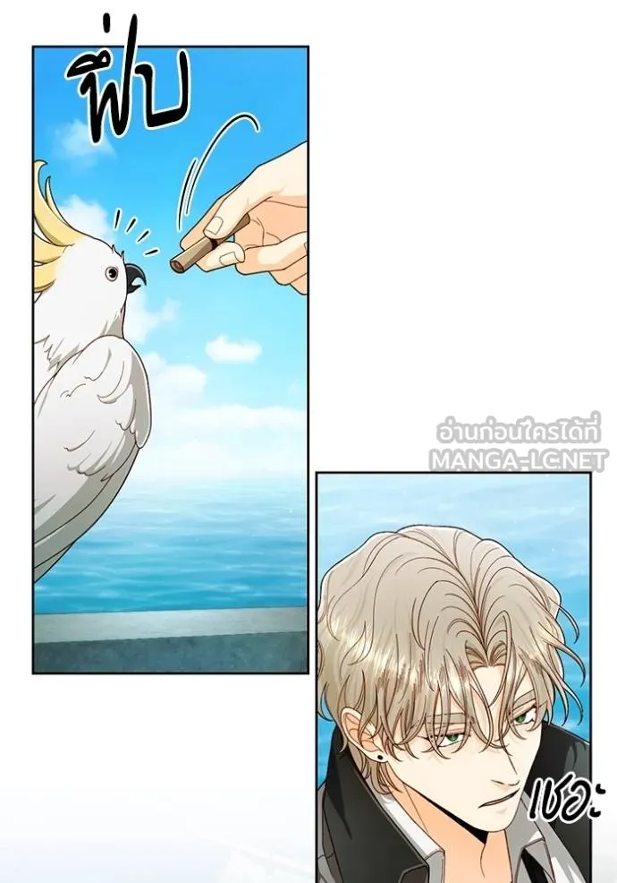 การแต่งงานครั้งใหม่ ตอนที่ 210 รูปที่ 9